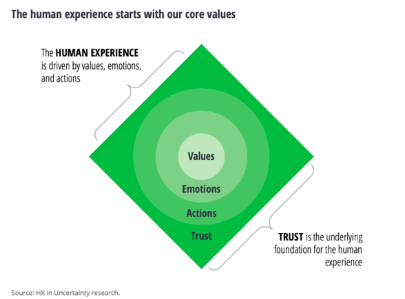 La experiencia humana comienza con valores fundamentales.