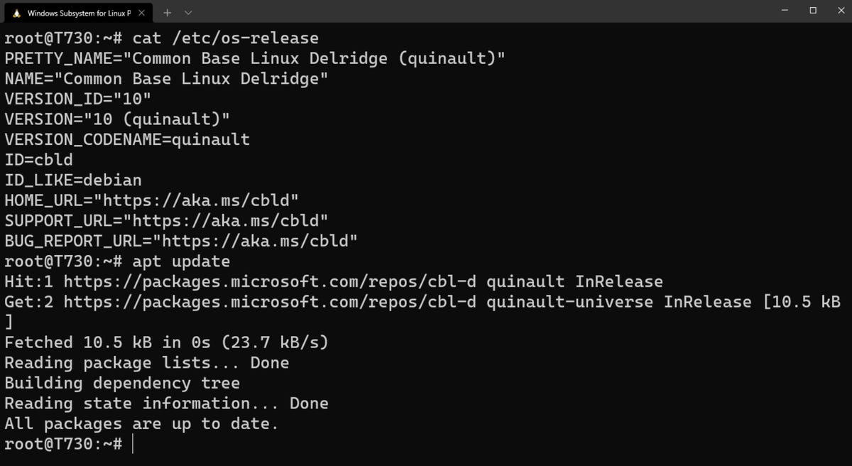 microsoftlinuxcbldelridge.jpg