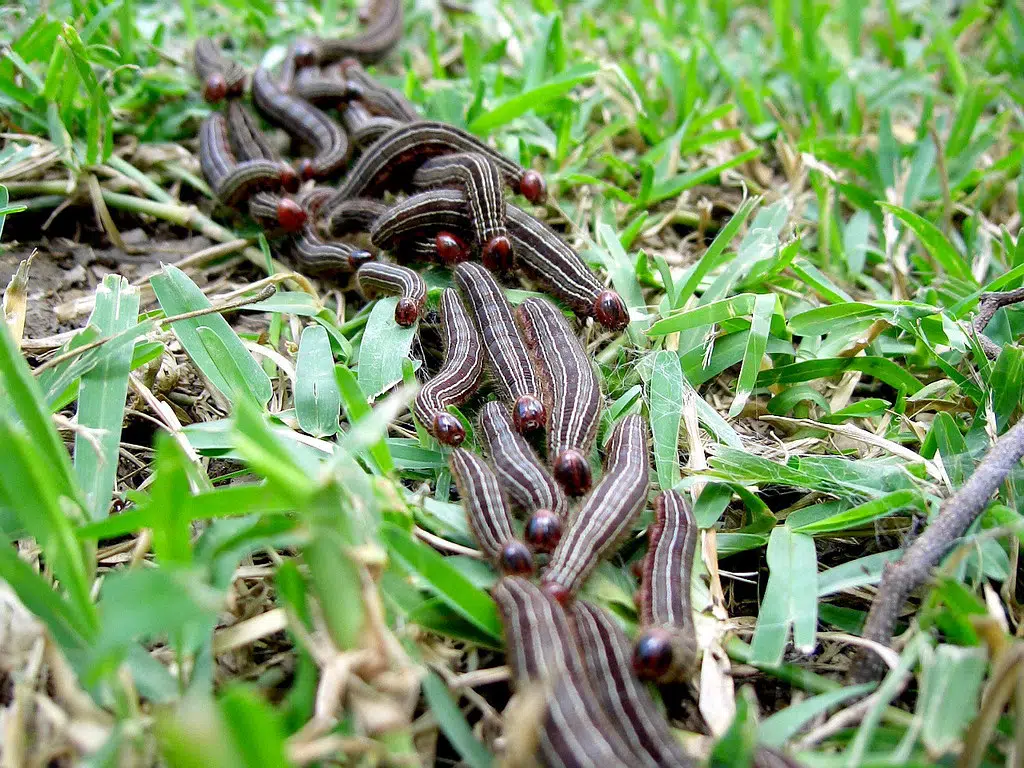 que es un endoso de seguro