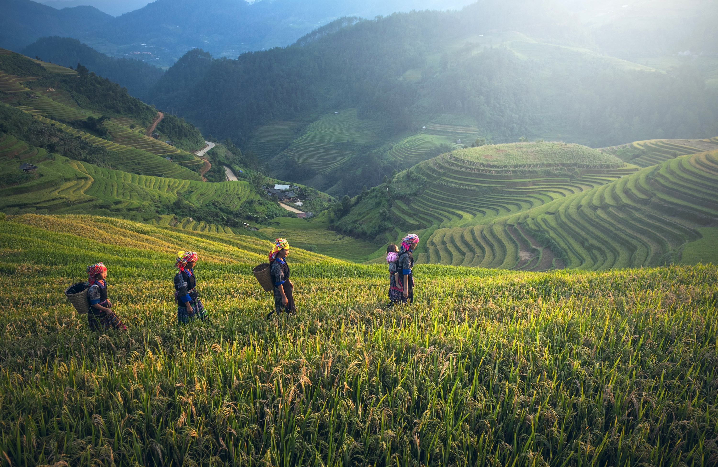 Bali encabeza la lista de lugares para nómadas digitales