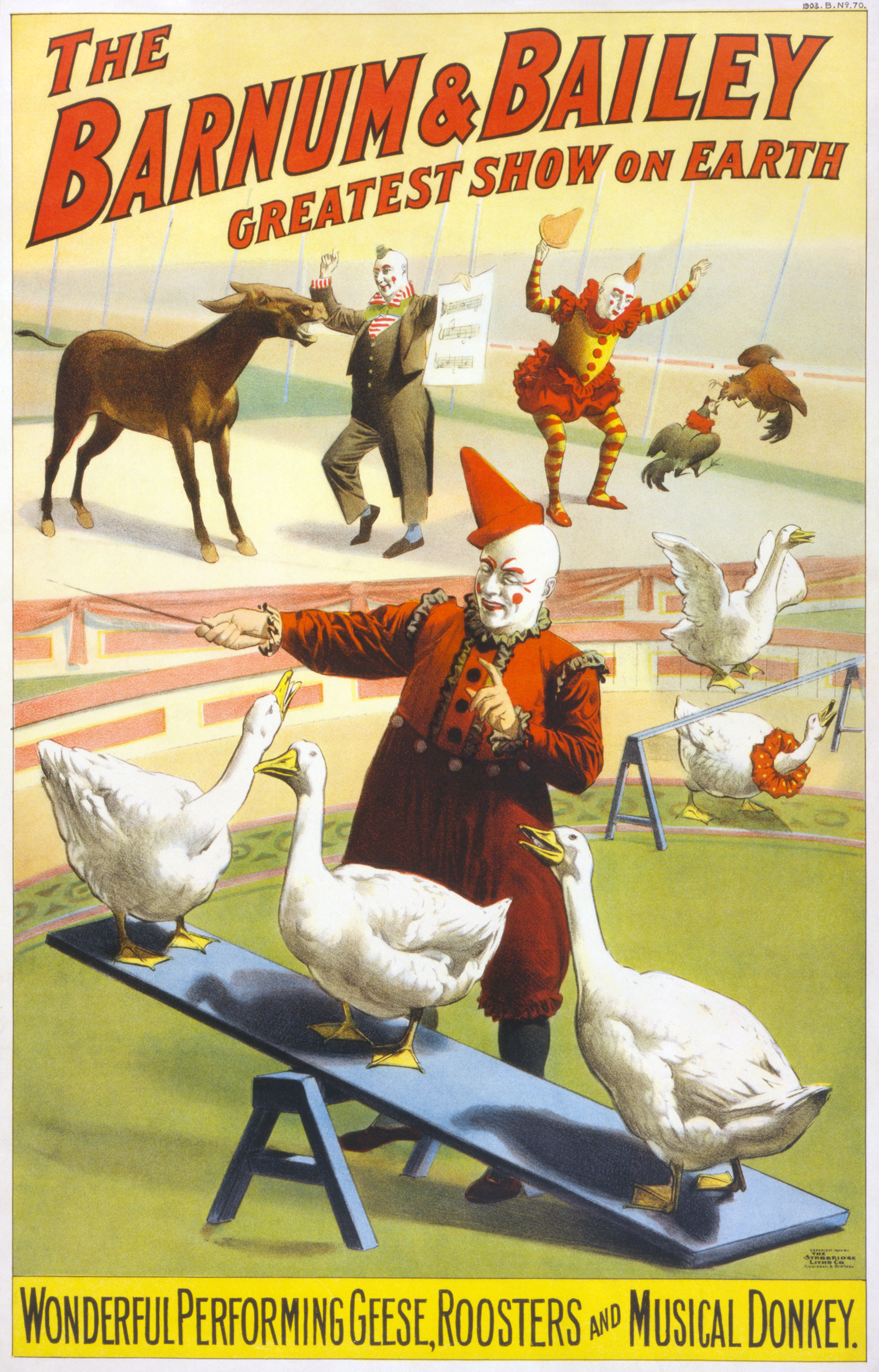 Barnum_&_Bailey_payasos_y_gansos2