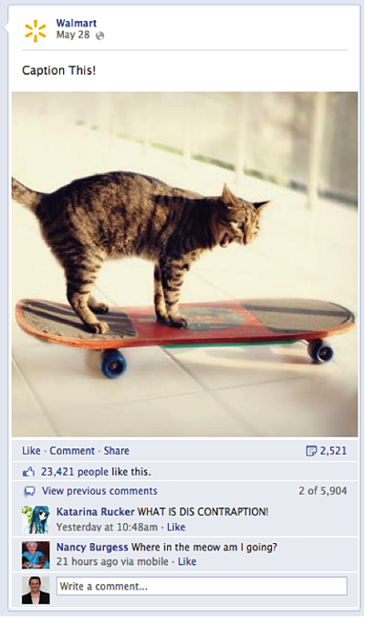 Gatito walmart subtítulo de esta publicación