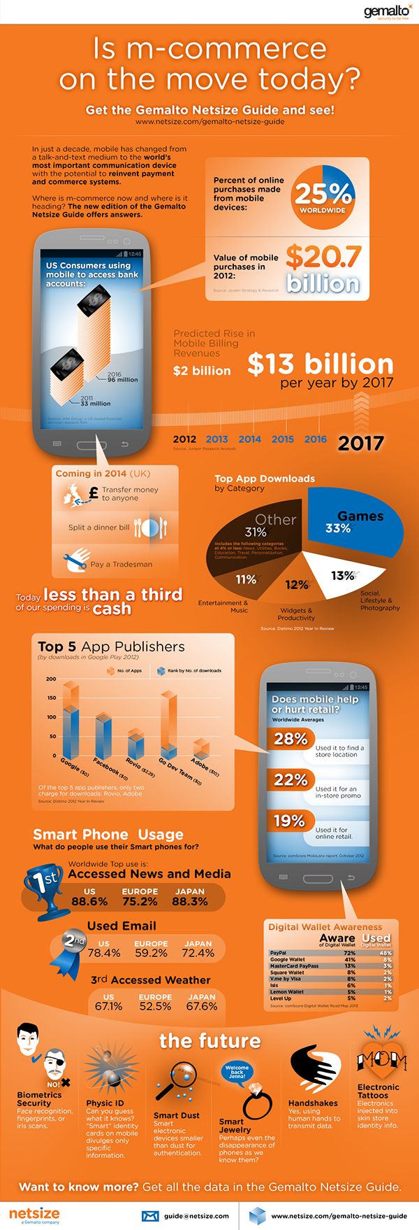 Infografía para Gemalto Netsize