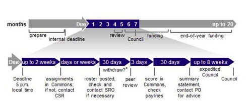 NIH website-graphic-time-review-funding.png NIH website-graphic-time-review-funding.png